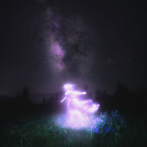 Since_2000-Neverland_Chapter_II-24BIT-WEB-FLAC-2026-VEXED.jpg