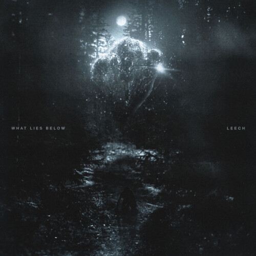 What_Lies_Below-Leech-24BIT-WEB-FLAC-2026-VEXED.jpg