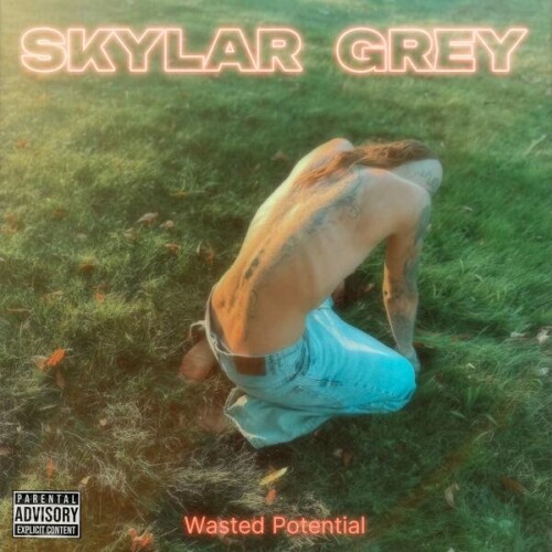 Skylar_Grey-Wasted_Potential-24BIT-WEB-FLAC-2026-ENRiCH83b6a40a448f4d92.jpg