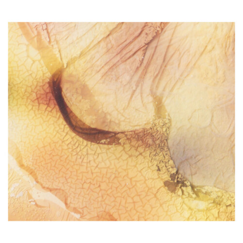 ab67616d0000b2732a7fce94c19aa386df8a09db.jpg