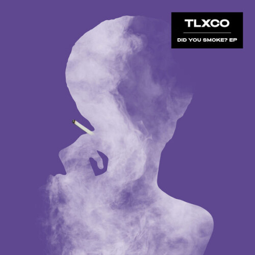 TLXCO-Did_You_Smoke-SLVMNCR013-24BIT-WEB-FLAC-2026-BABAS.jpg