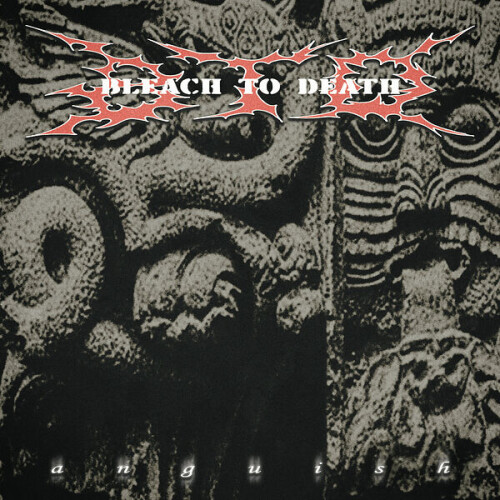 Bleach_To_Death-Anguish-Single-24BIT-WEB-FLAC-2026-VEXED.jpg