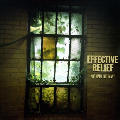 Effective_Relief-Not_Many_Not_Many-24BIT-WEB-FLAC-2026-VEXED.jpg